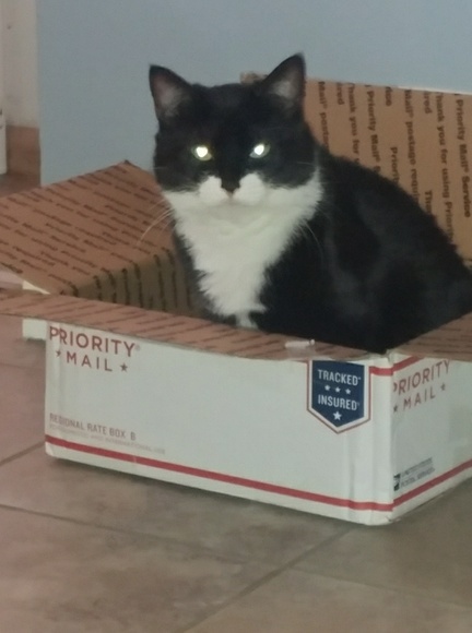 Meet your Posher, Stase - Picture 3 of 3